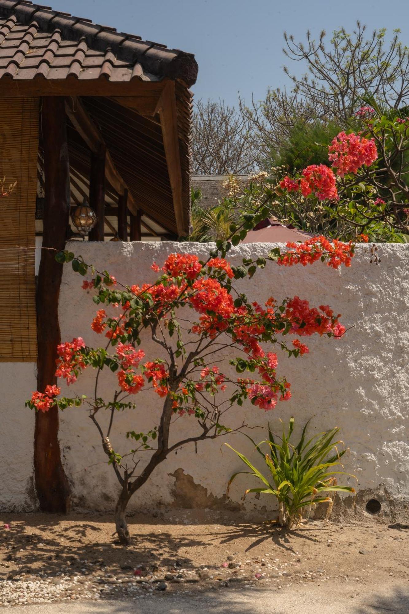 Villa Rika Gili Trawangan Zewnętrze zdjęcie